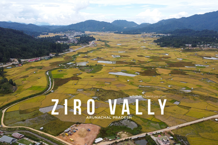 Ziro Valley Arunachal: A Complete Guide to Apatani Villages, Ziro Music Festival, and More