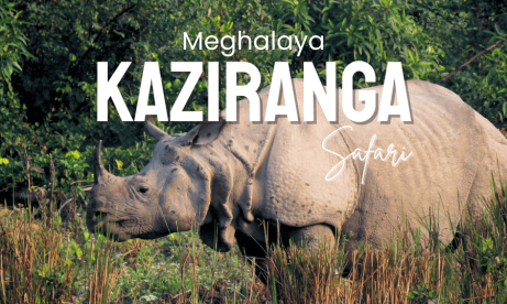 Meghalaya and Kaziranga Tour Package 7 Days