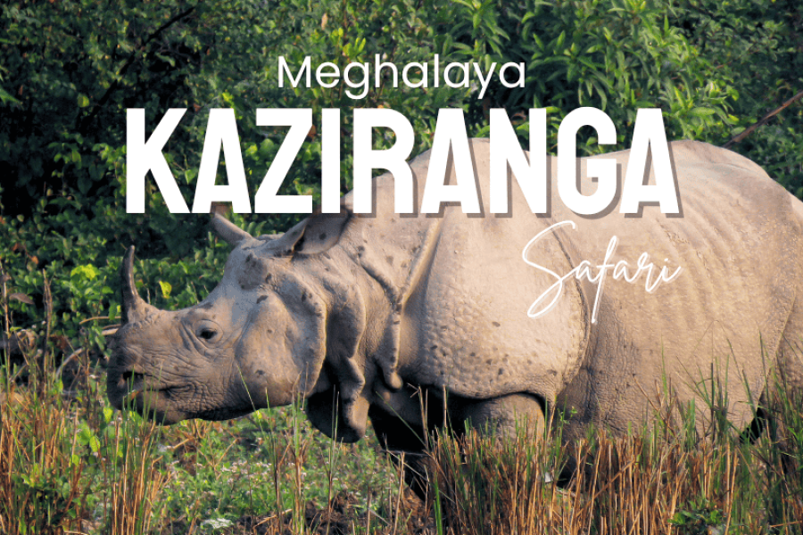 Meghalaya and Kaziranga Tour Package 7 Days