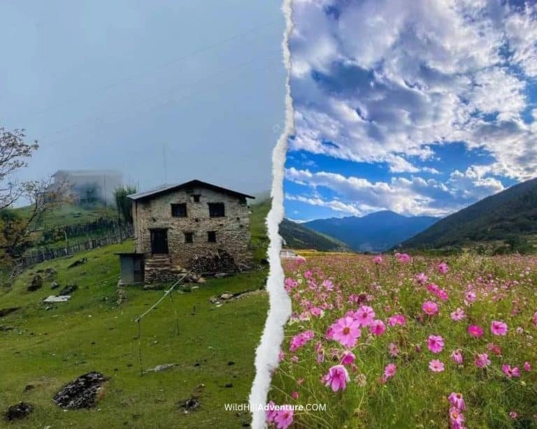 Best Time to Visit Tawang