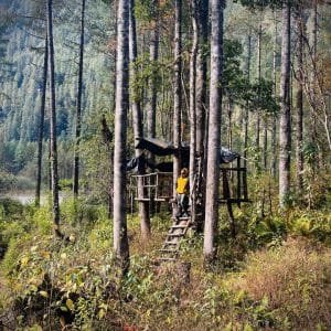 Dibang Wildlife Sanctuary