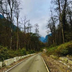 Road to Acheso Village