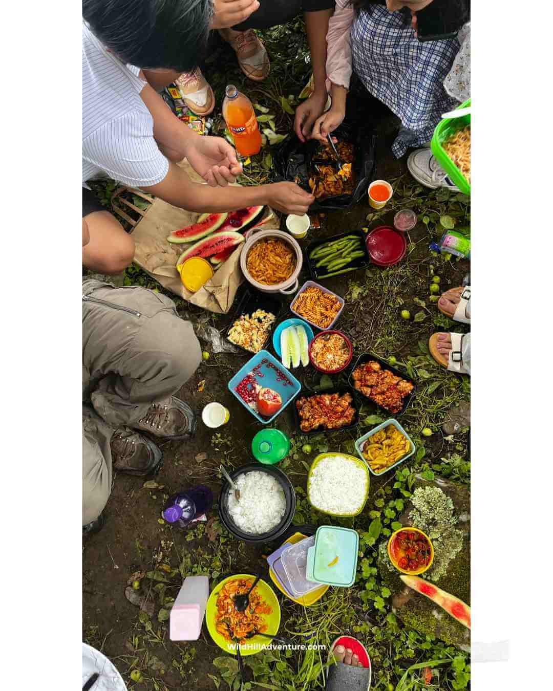 Wild Hill Adventure picnic in Hydrangea Flower Garden in Kigwema