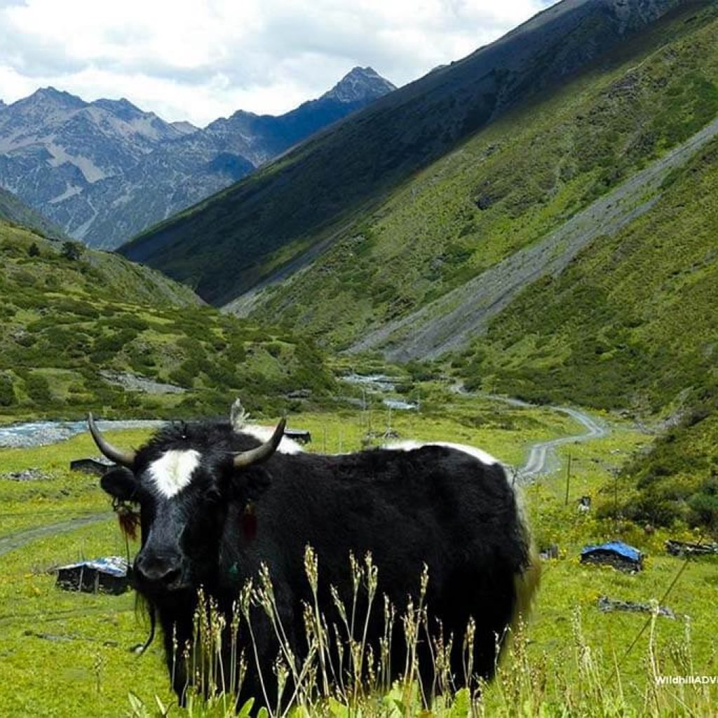 Explore Mago Tawang
