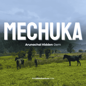Mechuka Tour Package and Price