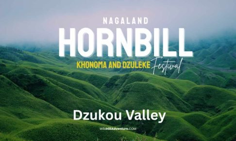 Hornbill Festival & Dzukou Valley Trek