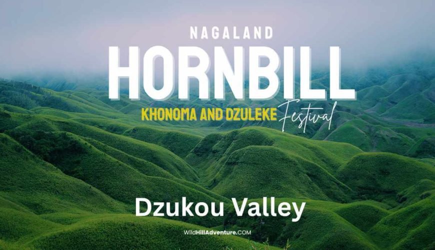 Hornbill Festival & Dzukou Valley Trek