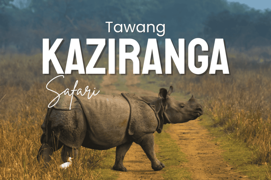 Tawang and Kaziranga Tour Package