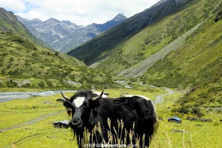 Mago Valley Travel Guide