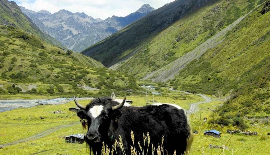 Mago Valley Travel Guide