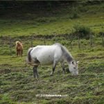 9 Days Offbeat Tawang Tour Package