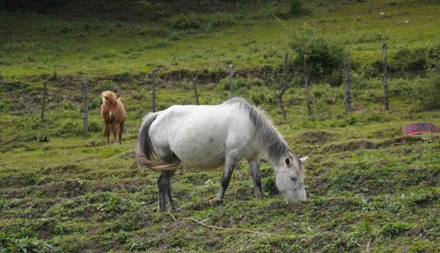 9 Days Offbeat Tawang Tour Package