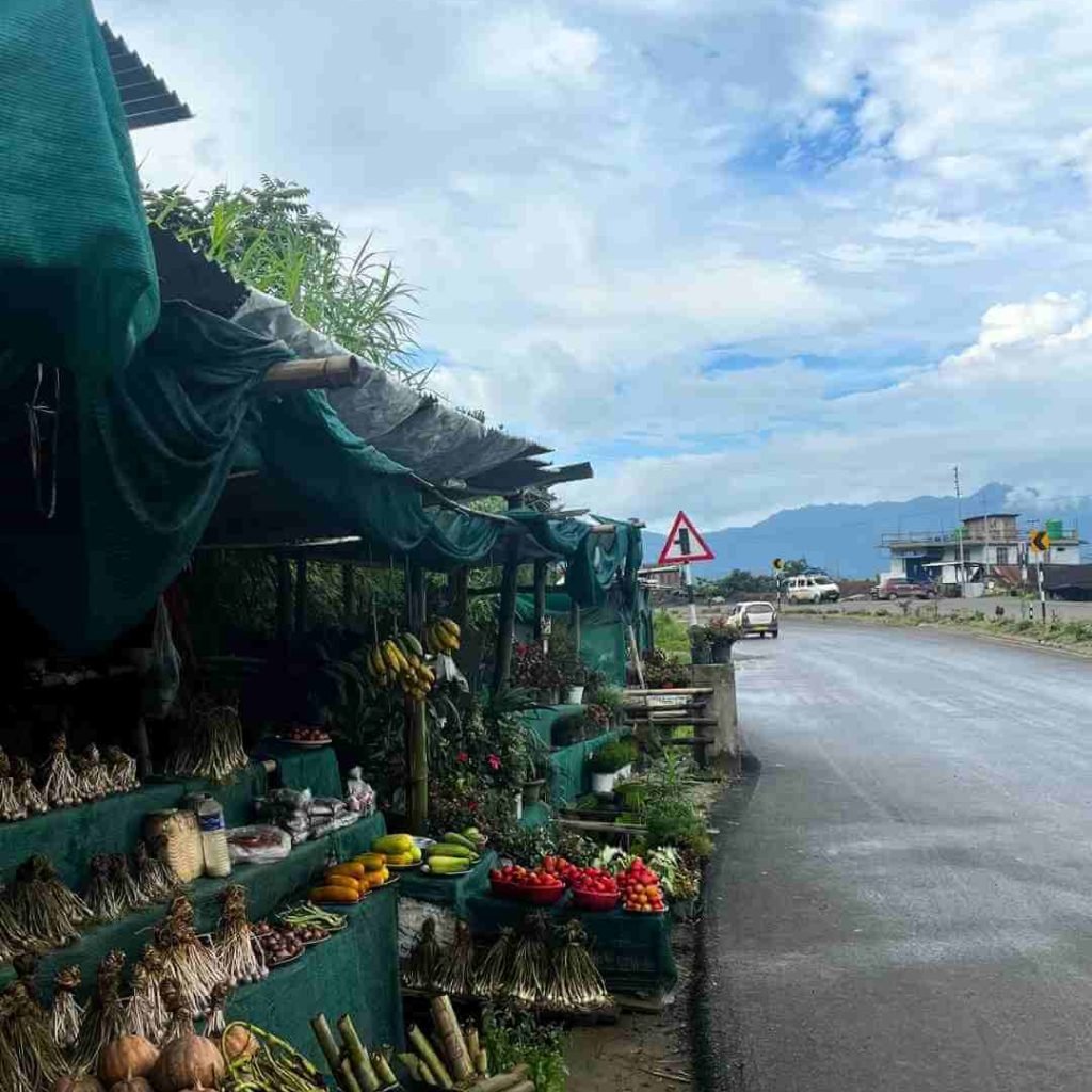 On the way to Kohima, you will find lots of small shops where you can get organic seasonal fruits, local wine, vegetables, and more