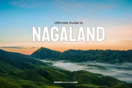Nagaland Tour Packages