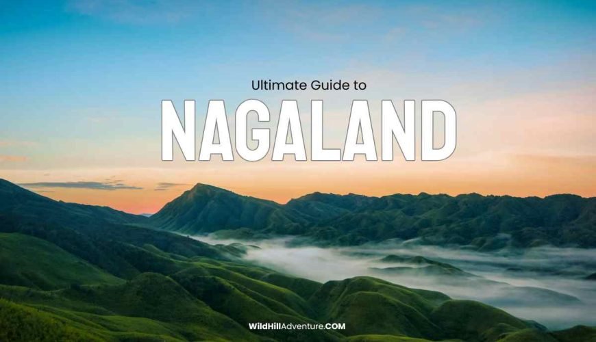 Nagaland Tour Packages