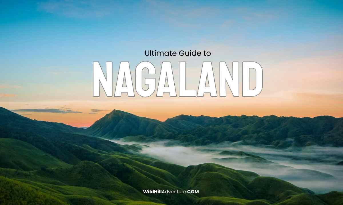Nagaland Tour Packages
