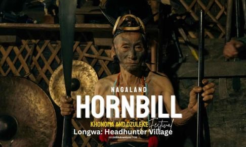 Longwa Village & Hornbill Festival