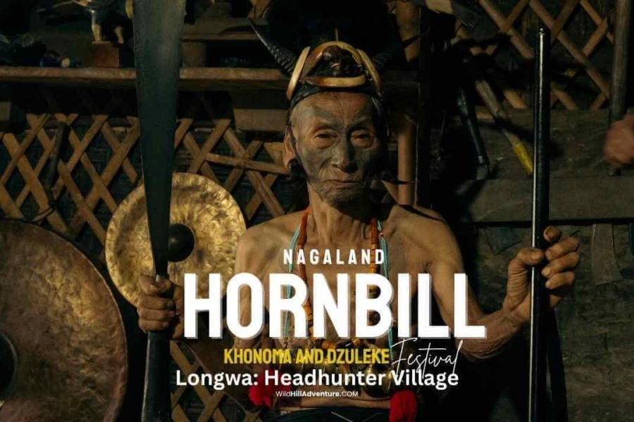 Longwa Village & Hornbill Festival