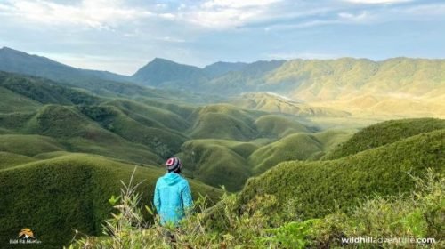 Dzukou Valley tour package