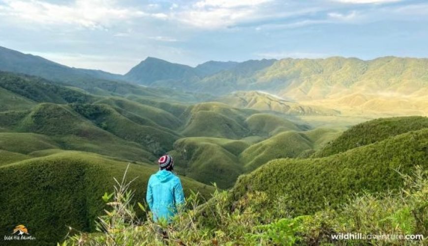 Dzukou Valley tour package