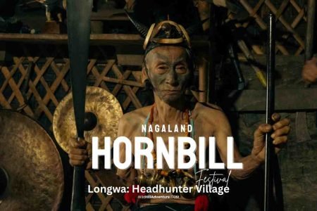 Hornbill Festival and Longwa Village Tour 2025