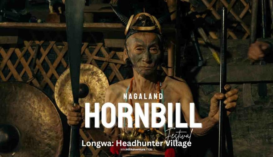 Hornbill Festival and Longwa Village Tour 2025