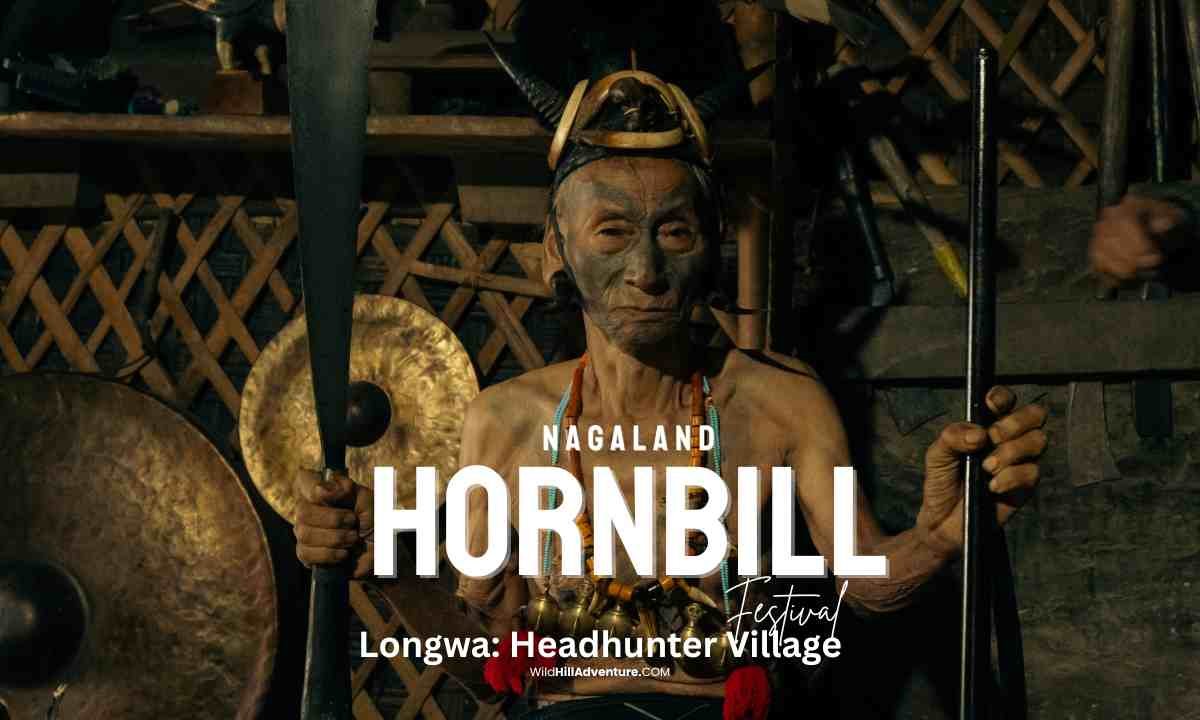 Hornbill Festival and Longwa Village Tour 2025