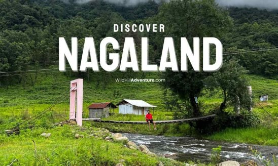 Nagaland Tour Package