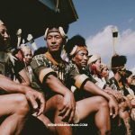 hornbill festival Homestay