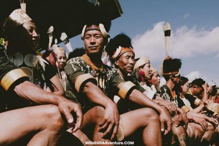 hornbill festival Homestay