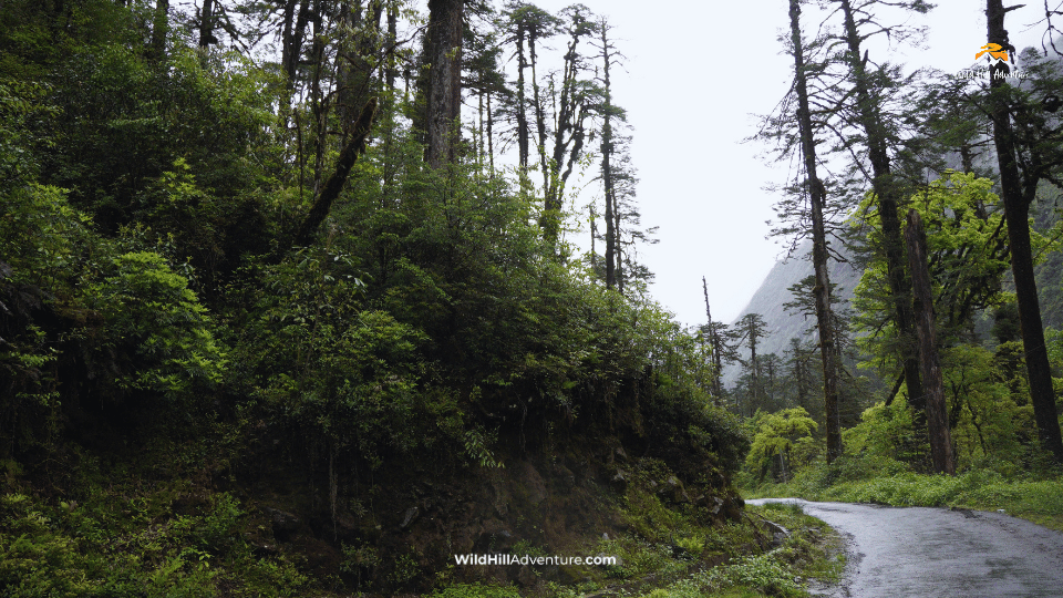 Mechuka 5 Days Tour Package