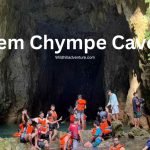 Krem Chympe Cave Meghalaya Travel Guide