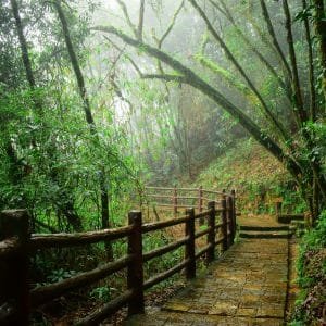 Best Time to Visit Meghalaya for Sightseeing