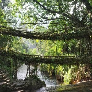 Best Time to Visit Meghalaya - Season by Season Guide
