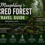 Mawphlang Sacred Forest Travel Guide 2026
