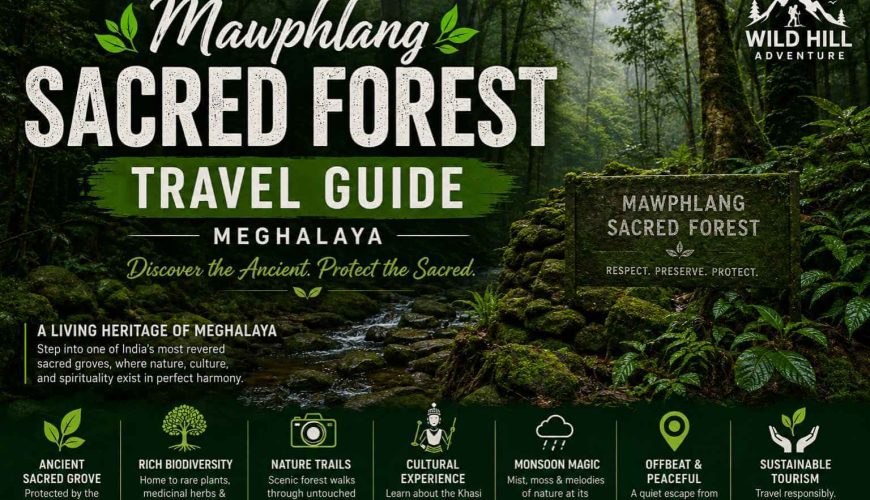 Mawphlang Sacred Forest Travel Guide 2026