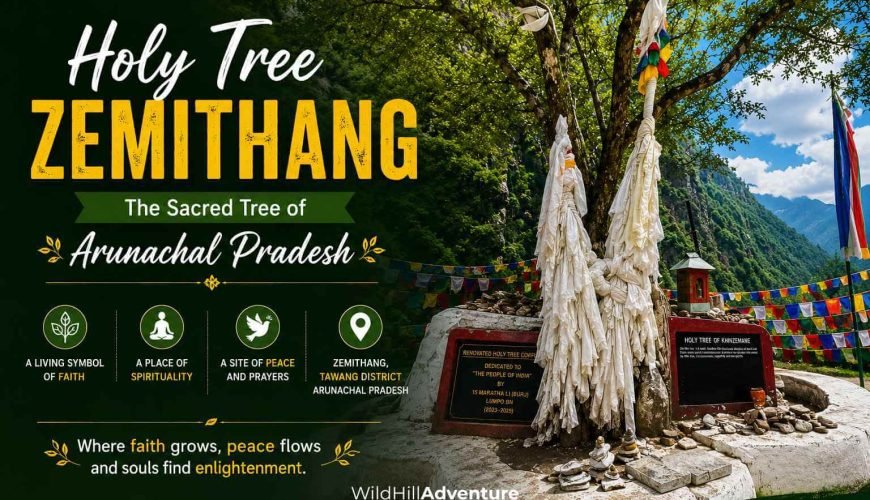 Holy Tree Zemithang