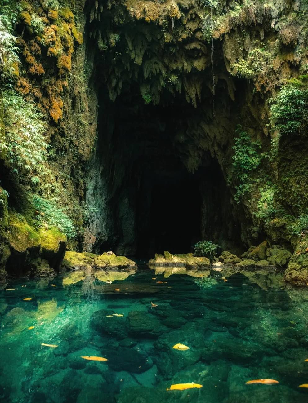 Wild Hill Adventure Dark cave entrance surrounded by moss-covered rock formations and clear emerald water on a Krem Chympe tour package in Meghalaya.