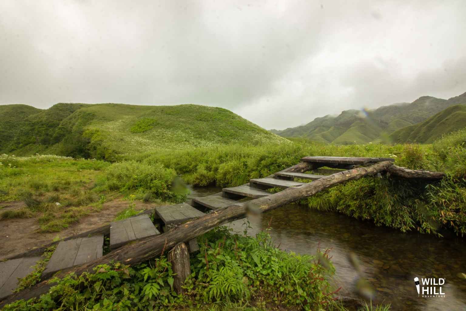 Wild Hill Adventure Dzukou Valley