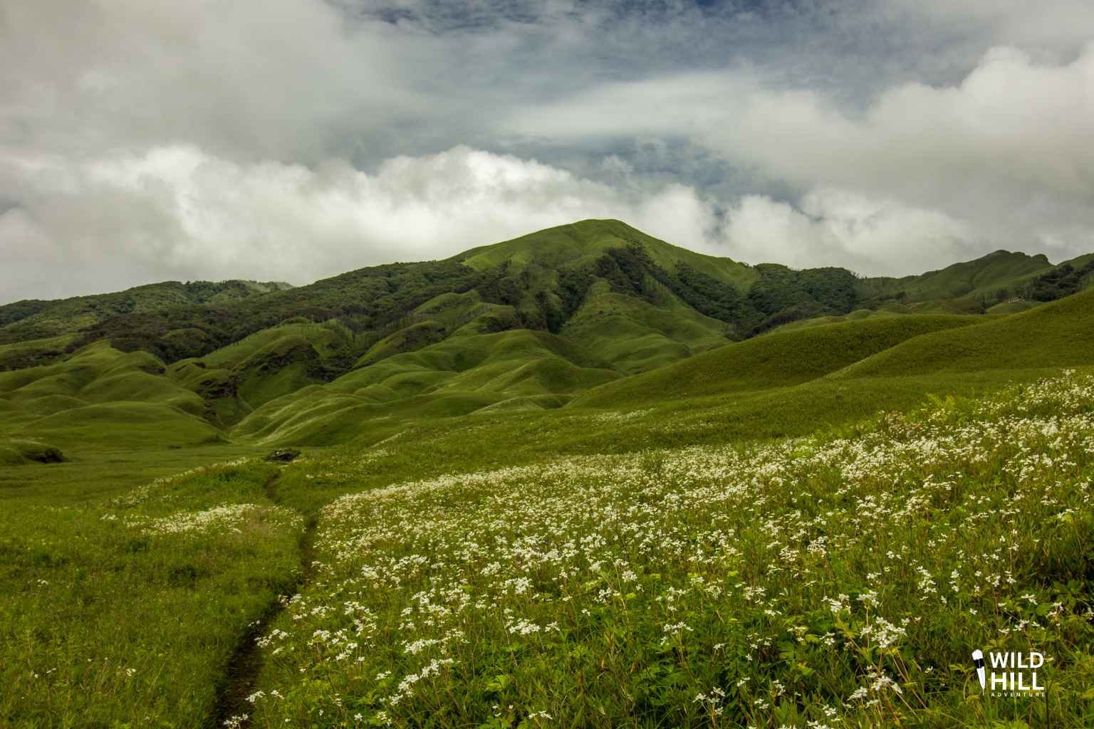 Wild Hill Adventure dzuko valley