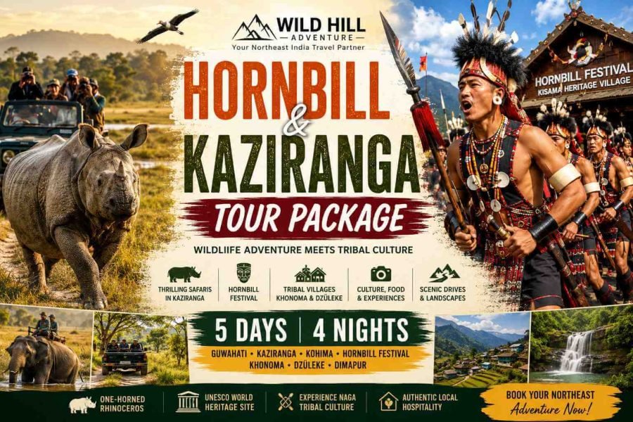 Hornbill and Kaziranga Tour Package
