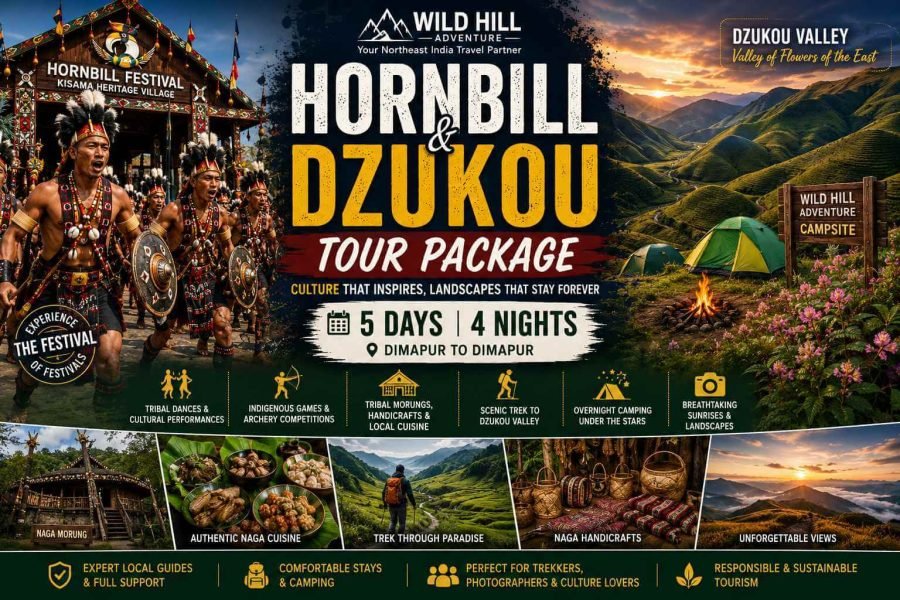 Hornbill and Dzukou Tour Package
