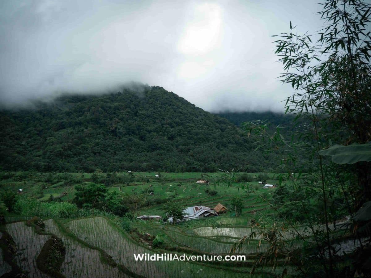 Hornbill and Kaziranga Tour Package