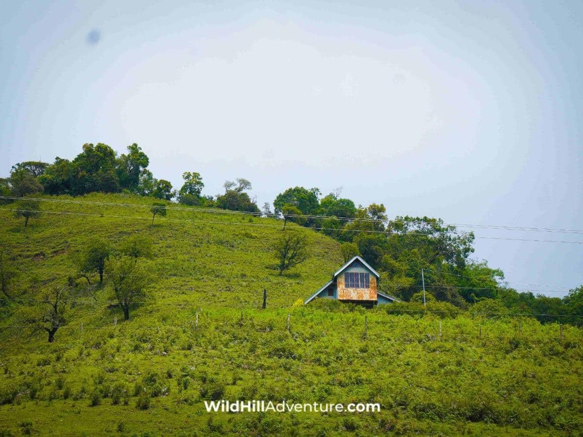 Hornbill and Dzukou Tour Package