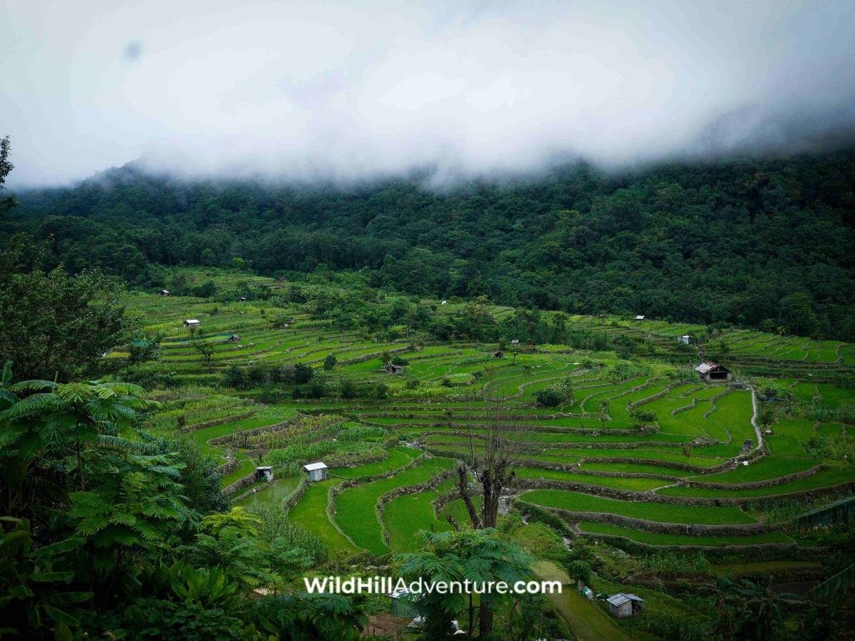 Complete Nagaland Tour Package