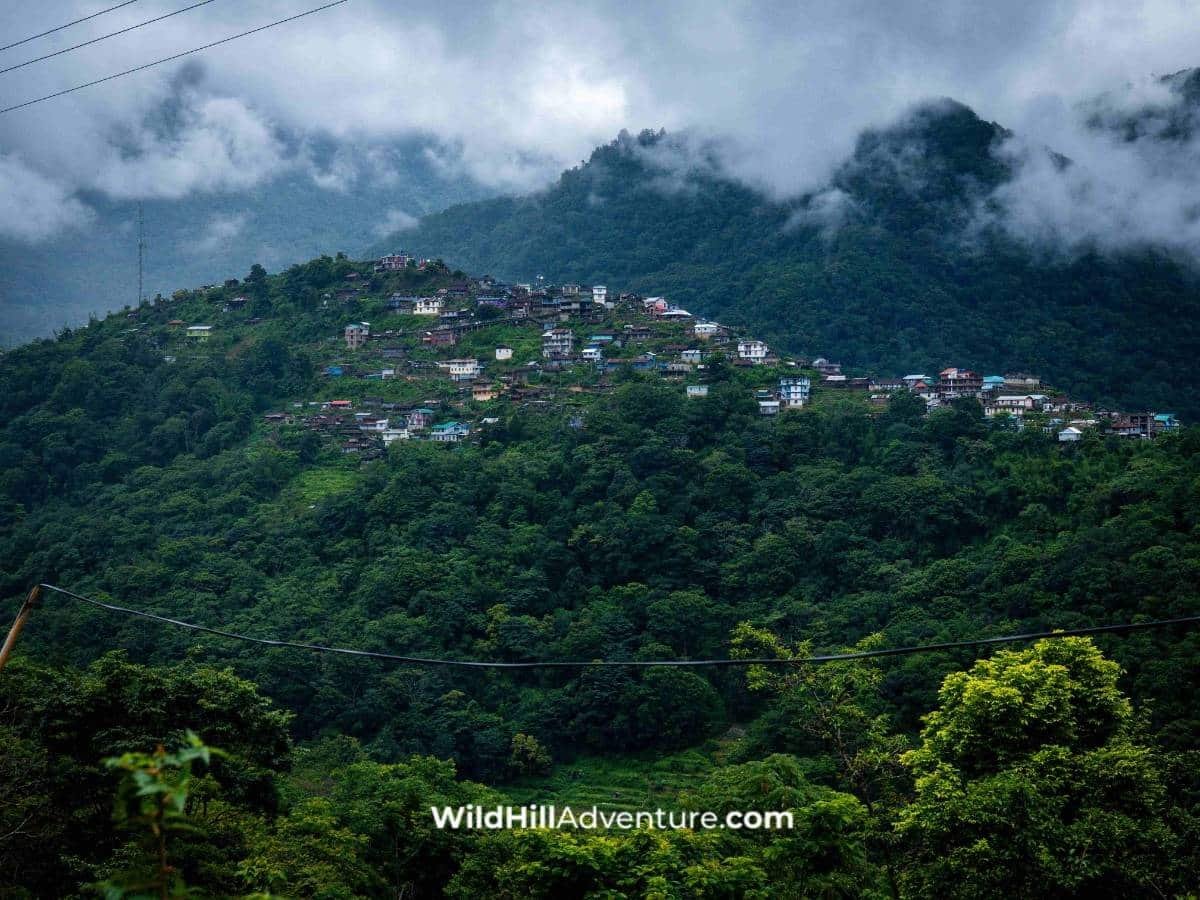 Hornbill and Kaziranga Tour Package