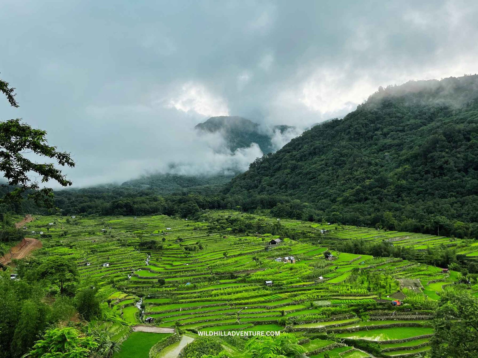 Wild Hill Adventure Khonoma Village Travel Guide